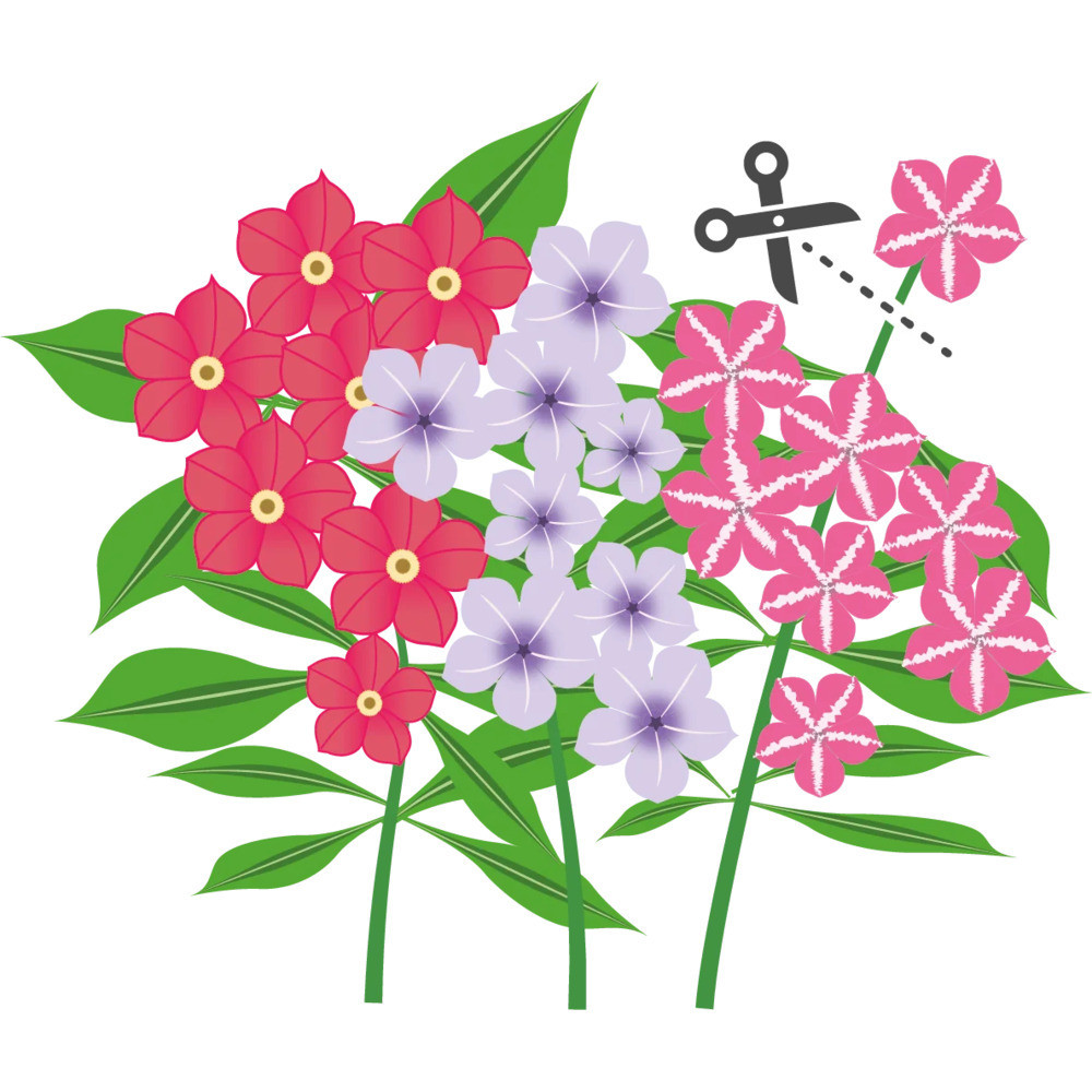 Tippek a sikeres termesztéshez